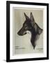 Buddy Seeing Eye-null-Framed Art Print