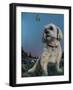 Buddy-Greg Farrugia-Framed Giclee Print