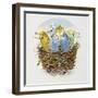 Budgerigars in a Nest, 1995-E.B. Watts-Framed Giclee Print