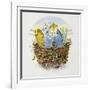 Budgerigars in a Nest, 1995-E.B. Watts-Framed Giclee Print