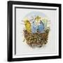 Budgerigars in a Nest, 1995-E.B. Watts-Framed Giclee Print