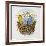 Budgerigars in a Nest, 1995-E.B. Watts-Framed Giclee Print