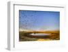 Budgerigars (Melopsittacus undulatus) flocking to find water, Northern Territory, Australia-Paul Williams-Framed Photographic Print