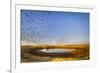 Budgerigars (Melopsittacus undulatus) flocking to find water, Northern Territory, Australia-Paul Williams-Framed Photographic Print