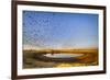 Budgerigars (Melopsittacus undulatus) flocking to find water, Northern Territory, Australia-Paul Williams-Framed Photographic Print