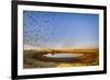 Budgerigars (Melopsittacus undulatus) flocking to find water, Northern Territory, Australia-Paul Williams-Framed Photographic Print