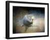 Budgie 3-Jai Johnson-Framed Giclee Print