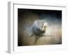 Budgie 3-Jai Johnson-Framed Giclee Print