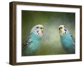 Budgie 4-Jai Johnson-Framed Giclee Print