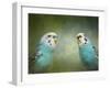 Budgie 4-Jai Johnson-Framed Giclee Print