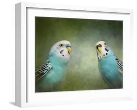 Budgie 4-Jai Johnson-Framed Giclee Print