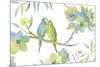 Budgie Love-Sandra Jacobs-Mounted Giclee Print