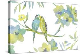 Budgie Love-Sandra Jacobs-Stretched Canvas