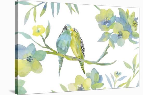 Budgie Love-Sandra Jacobs-Stretched Canvas
