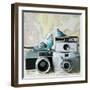 Budgie Photo Bomb-Susannah Tucker-Framed Art Print