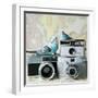 Budgie Photo Bomb-Susannah Tucker-Framed Art Print