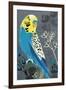 Budgie-Rocket 68-Framed Premium Giclee Print