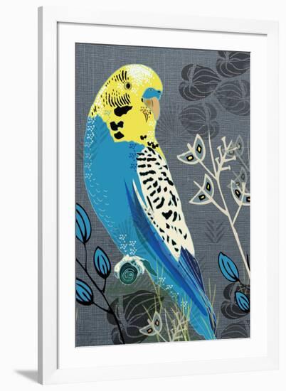 Budgie-Rocket 68-Framed Giclee Print