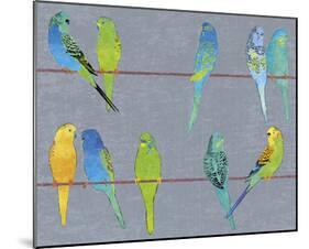 Budgies-Maria Mendez-Mounted Giclee Print