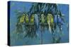 Budgies-Michael Jackson-Stretched Canvas