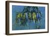 Budgies-Michael Jackson-Framed Giclee Print