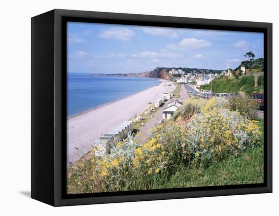 Budleigh Salterton, Devon, England, United Kingdom-Roy Rainford-Framed Stretched Canvas