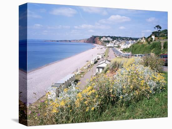 Budleigh Salterton, Devon, England, United Kingdom-Roy Rainford-Stretched Canvas