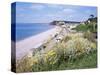 Budleigh Salterton, Devon, England, United Kingdom-Roy Rainford-Stretched Canvas