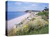 Budleigh Salterton, Devon, England, United Kingdom-Roy Rainford-Stretched Canvas