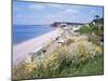 Budleigh Salterton, Devon, England, United Kingdom-Roy Rainford-Mounted Photographic Print