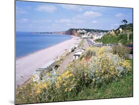 Budleigh Salterton, Devon, England, United Kingdom-Roy Rainford-Mounted Photographic Print