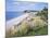 Budleigh Salterton, Devon, England, United Kingdom-Roy Rainford-Mounted Photographic Print