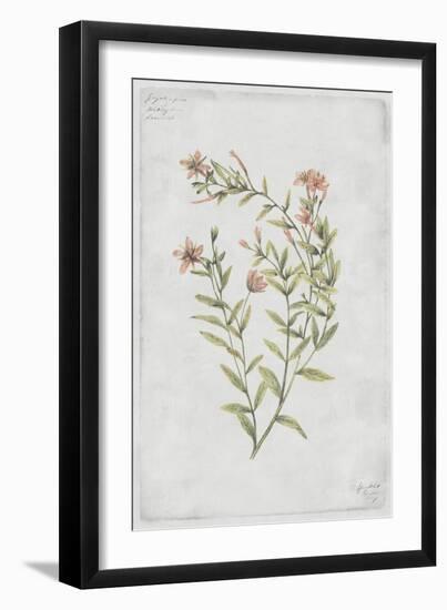 Buds Vol. IV Tav-PI Collection-Framed Art Print