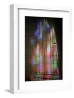 Buen Pastor cathedral, San Sebastian, Euskadi, Spain-Godong-Framed Photographic Print