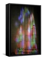Buen Pastor cathedral, San Sebastian, Euskadi, Spain-Godong-Framed Stretched Canvas