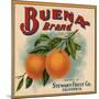 Buena Brand - California - Citrus Crate Label-Lantern Press-Mounted Art Print