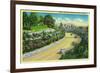 Buena Vista Drive, Entering Riverside - Riverside, CA-Lantern Press-Framed Art Print