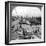 Buenos Aires Docks, Argentina, C1900s-null-Framed Photographic Print