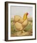 Buff Cochin Hen, "Blossom"-J^ W^ Ludlow-Framed Premium Giclee Print