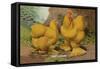 Buff Cochins-null-Framed Stretched Canvas