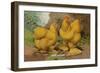 Buff Cochins-null-Framed Art Print