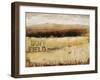 Buff Field II-Tim O'toole-Framed Giclee Print