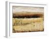 Buff Field II-Tim O'toole-Framed Giclee Print