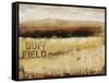 Buff Field II-Tim O'toole-Framed Stretched Canvas