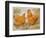 Buff Orpington Cock and Hen-null-Framed Art Print