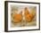 Buff Orpington Cock and Hen-null-Framed Art Print