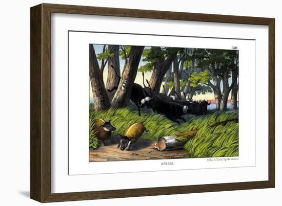 Buffalo, 1860-null-Framed Giclee Print