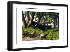 Buffalo, 1860-null-Framed Giclee Print