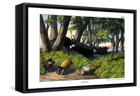 Buffalo, 1860-null-Framed Stretched Canvas