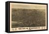 Buffalo 1880 Bird's Eye View, New York, United States-null-Framed Stretched Canvas